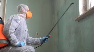 Best Mold Prevention Services  in Marengo, IA