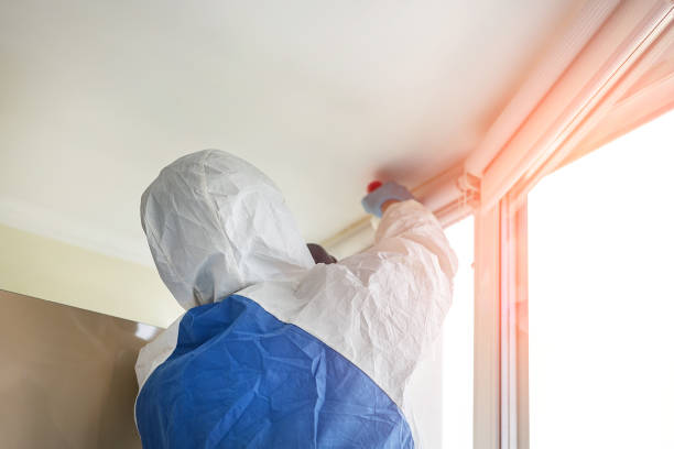 Professional Mold Inspection in Marengo, IA